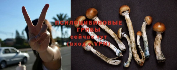 spice Михайлов