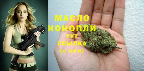spice Михайлов